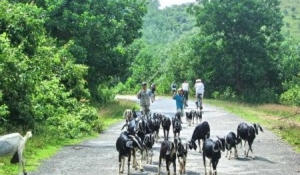 How to get to Nam cat tien national park from Ho Chi Minh City