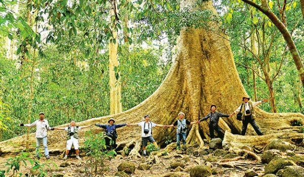 Top things to do in Nam Cat Tien National Park